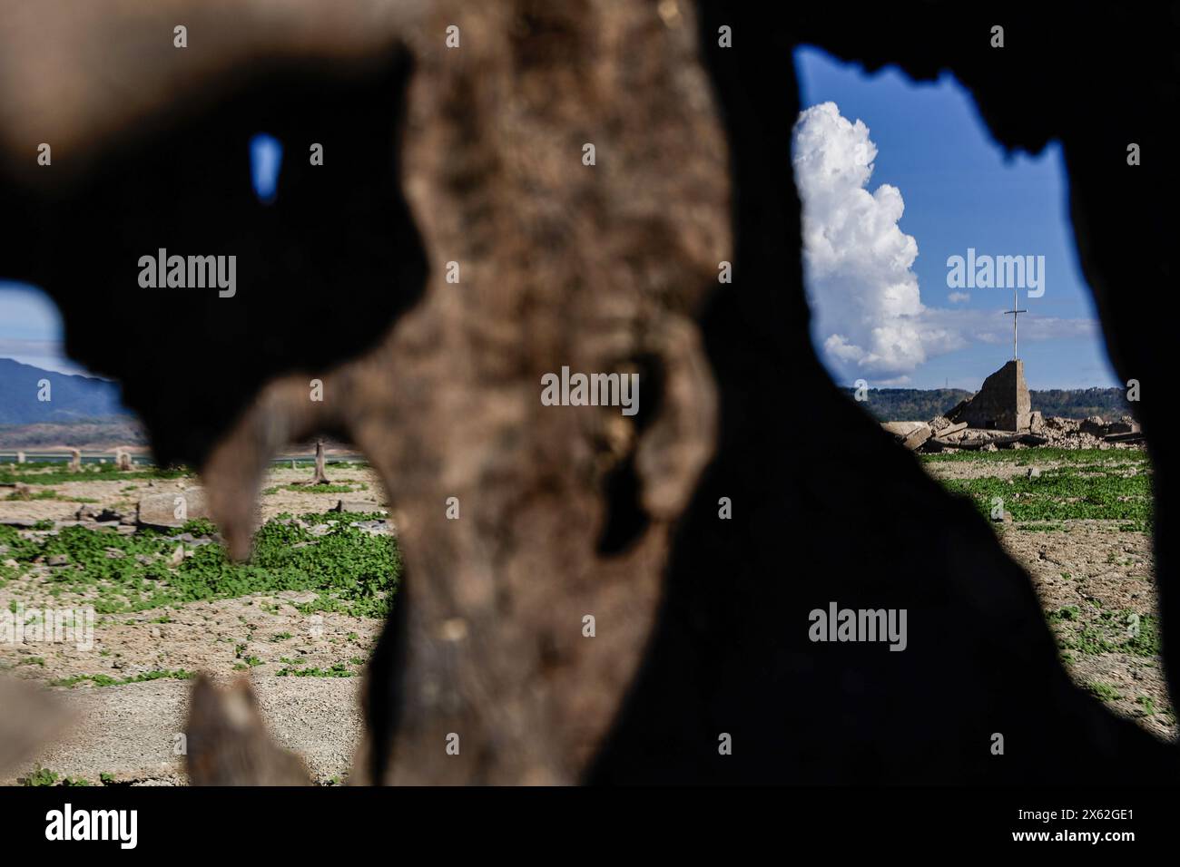 Pantabangan, Philippinen. 12. Mai 2024, Pantabangan, Philippinen: Reste der alten versunkenen Stadt Pantabangan, die wieder aufgetaucht sind, werden durch einen verwelkten Baum an einem trockenen Teil des Reservoirs gesehen, als Folge einer schweren Dürre aufgrund der steigenden Temperaturen auf den Philippinen. Das sechste Wiederauftauchen dieser 300 Jahre alten Siedlung, die eine Kirche und mehrere Grabsteine umfasst, hat Touristen zu Besuch gezogen, nachdem der Wasserstand am Damm aufgrund der El Nino Klimabildungen gesunken ist. Quelle: ZUMA Press, Inc./Alamy Live News Stockfoto