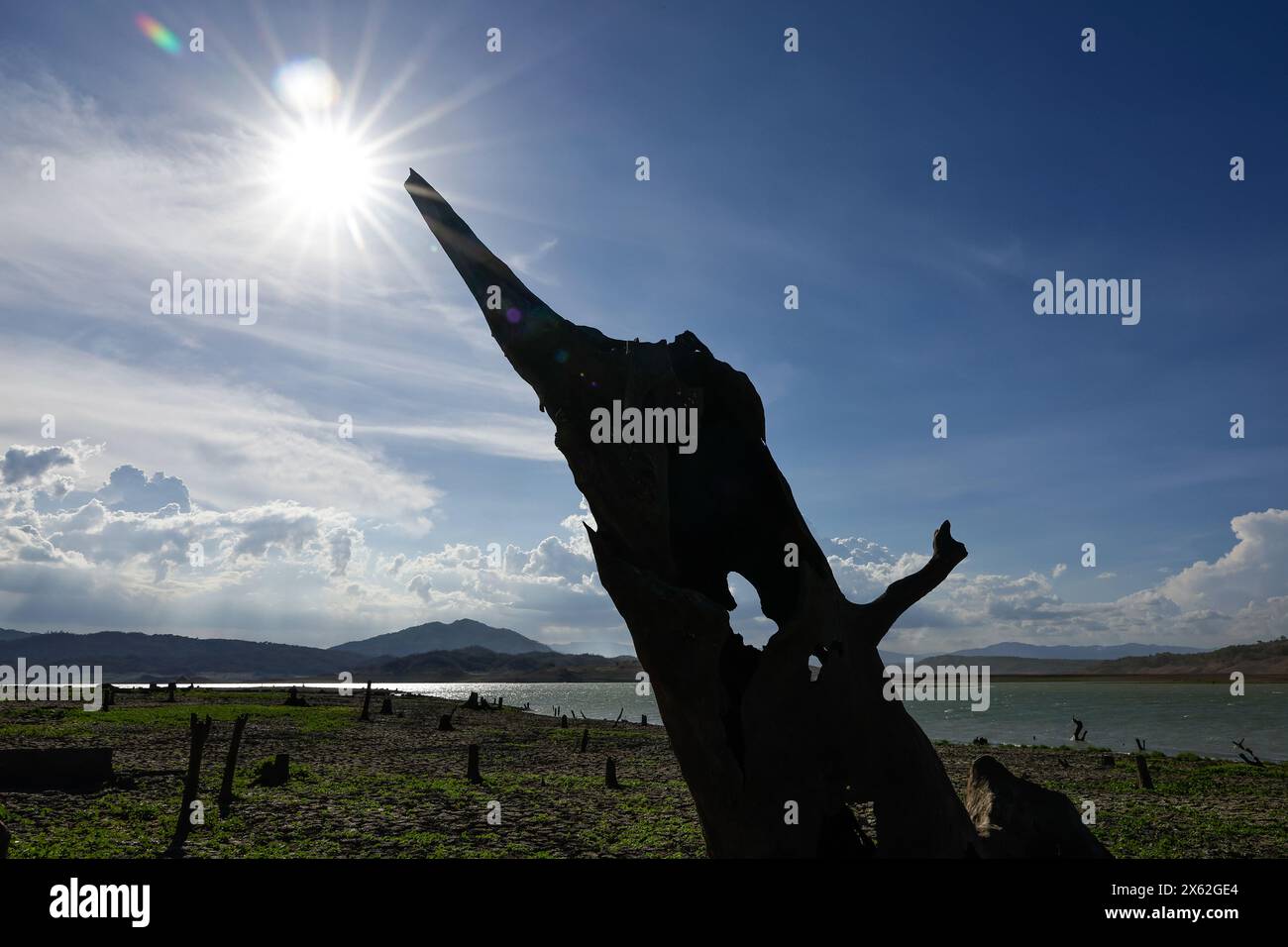 Pantabangan, Philippinen. 12. Mai 2024, Pantabangan, Philippinen: Reste der alten versunkenen Stadt Pantabangan, die wieder aufgetaucht sind, werden durch einen verwelkten Baum an einem trockenen Teil des Reservoirs gesehen, als Folge einer schweren Dürre aufgrund der steigenden Temperaturen auf den Philippinen. Das sechste Wiederauftauchen dieser 300 Jahre alten Siedlung, die eine Kirche und mehrere Grabsteine umfasst, hat Touristen zu Besuch gezogen, nachdem der Wasserstand am Damm aufgrund der El Nino Klimabildungen gesunken ist. Quelle: ZUMA Press, Inc./Alamy Live News Stockfoto