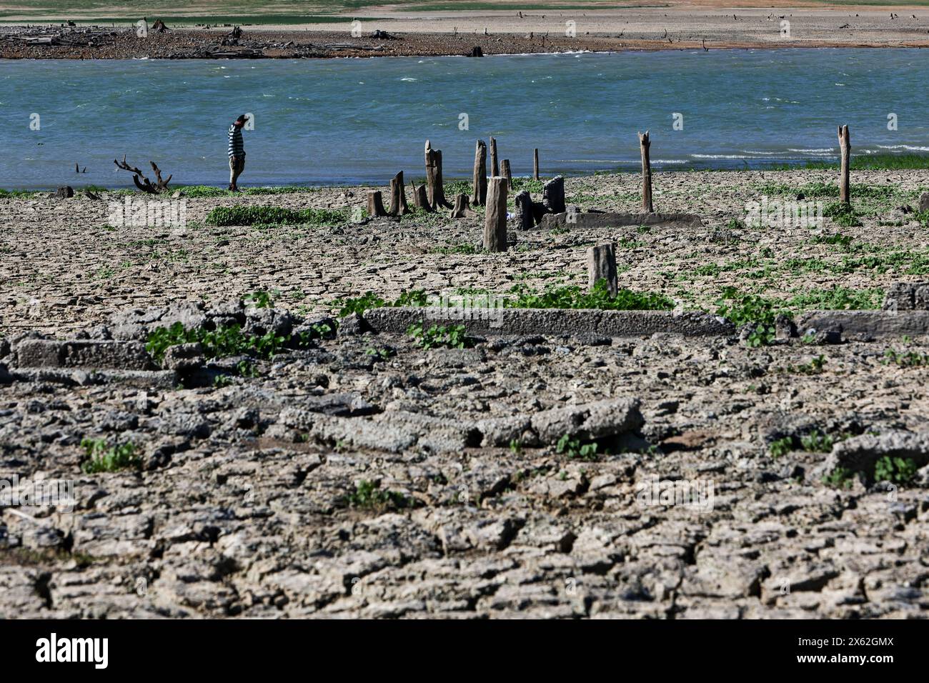 Pantabangan, Philippinen. 12. Mai 2024, Pantabangan, Philippinen: Reste der alten versunkenen Stadt Pantabangan, die wieder aufgetaucht sind, werden durch einen verwelkten Baum an einem trockenen Teil des Reservoirs gesehen, als Folge einer schweren Dürre aufgrund der steigenden Temperaturen auf den Philippinen. Das sechste Wiederauftauchen dieser 300 Jahre alten Siedlung, die eine Kirche und mehrere Grabsteine umfasst, hat Touristen zu Besuch gezogen, nachdem der Wasserstand am Damm aufgrund der El Nino Klimabildungen gesunken ist. Quelle: ZUMA Press, Inc./Alamy Live News Stockfoto