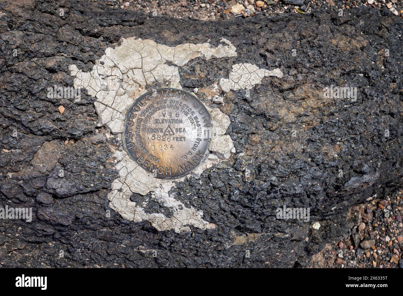 Vintage US Geological Survey Höhenmarkierung über dem Meeresspiegel, eingebettet in Gestein im Petrified Forest National Park, Arizone, USA am 18. April 2024 Stockfoto