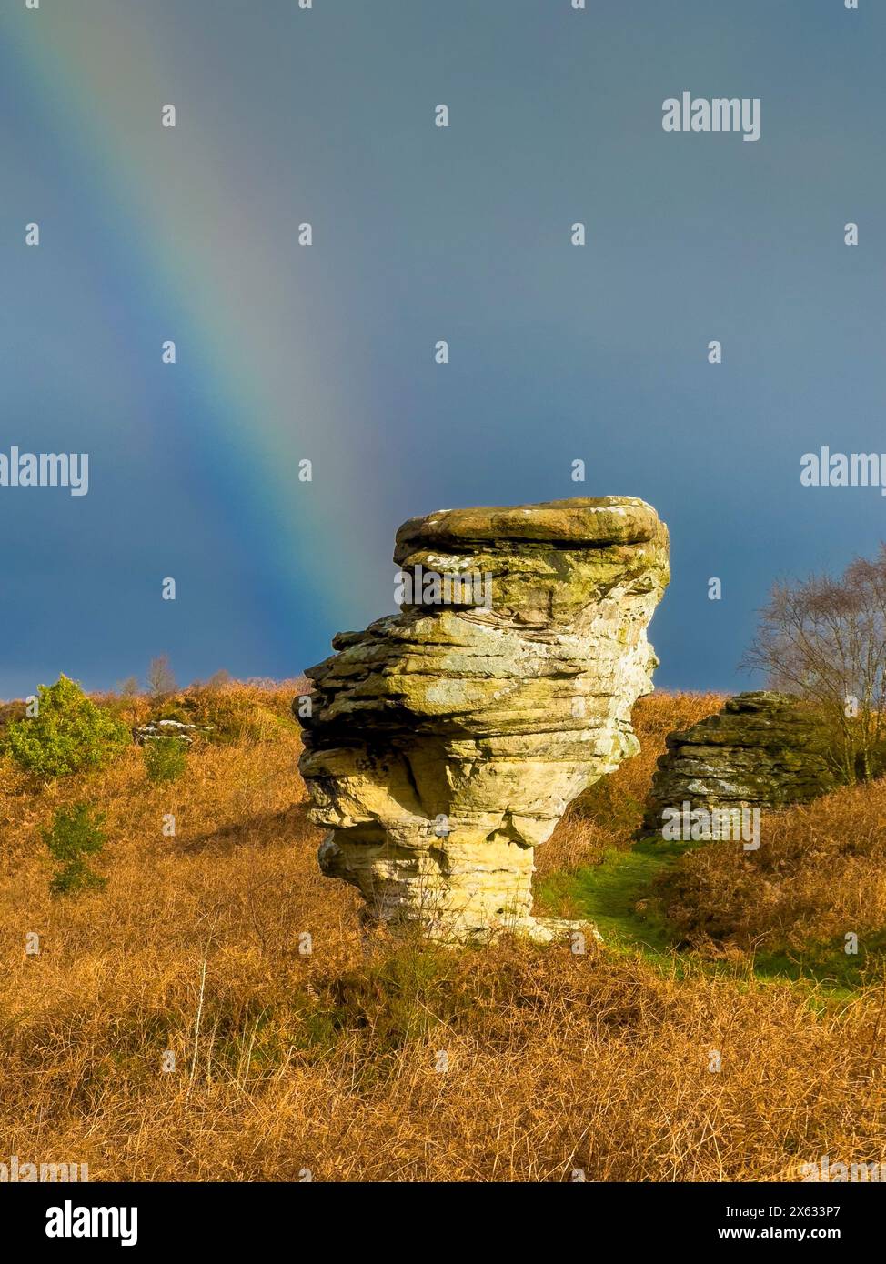 Bridestone im Dalby Forest mit einem Regenbogen in der Ferne. UK Stockfoto