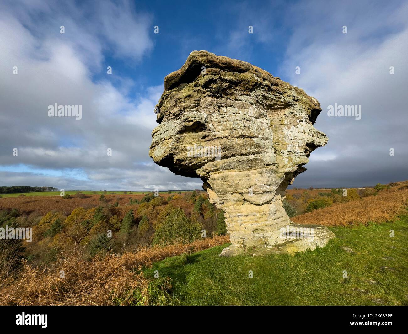 Einer der Bridestones-Felsen auf Blakey Topping im Dalby Forest. North Yorkshire, Großbritannien Stockfoto
