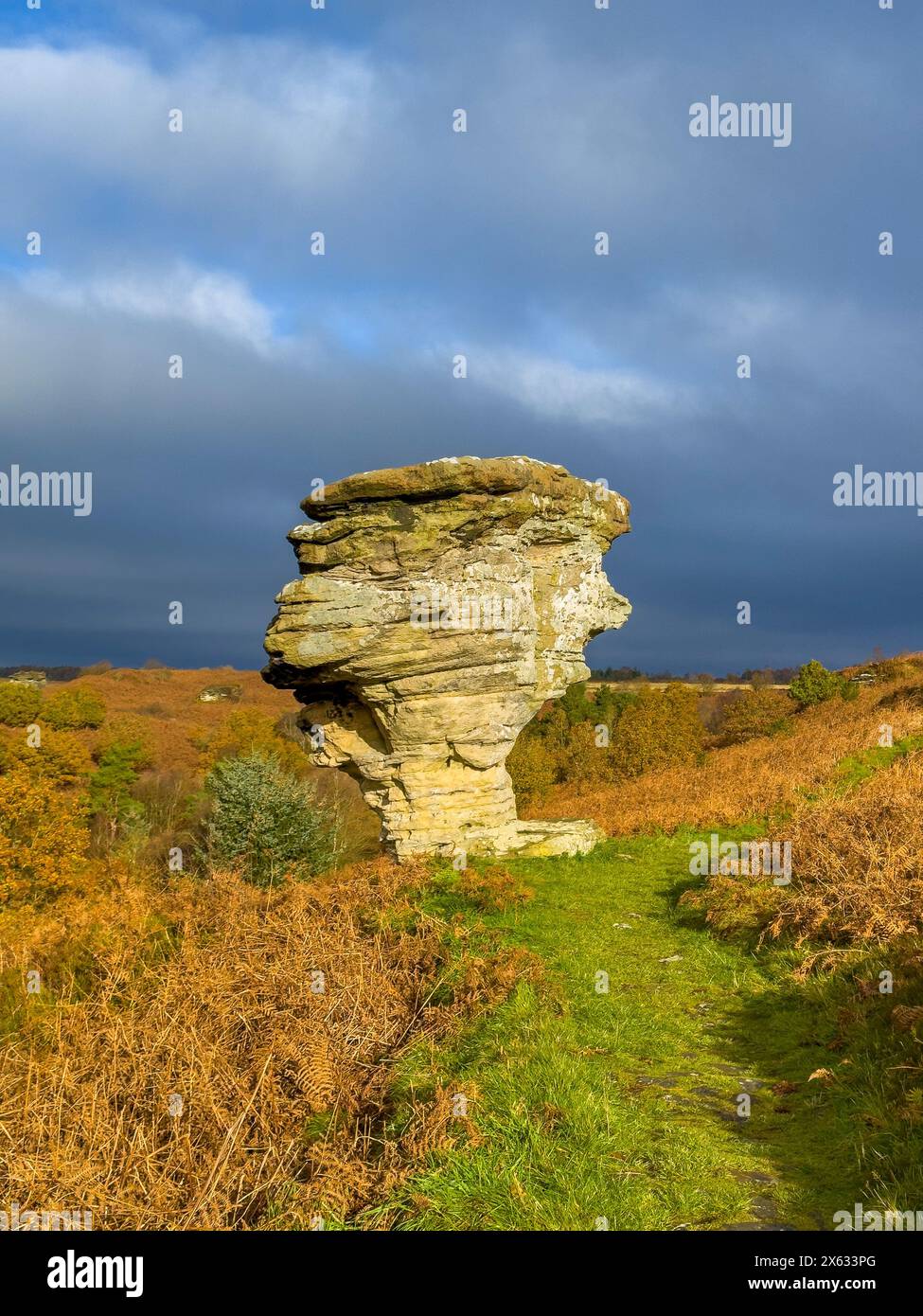 Einer der Felsformationen der Bridestones im Dalby Forest. North Yorkshire, Großbritannien Stockfoto