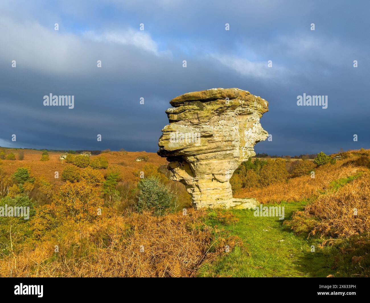 Einer der Felsformationen der Bridestones im Dalby Forest. North Yorkshire, Großbritannien Stockfoto