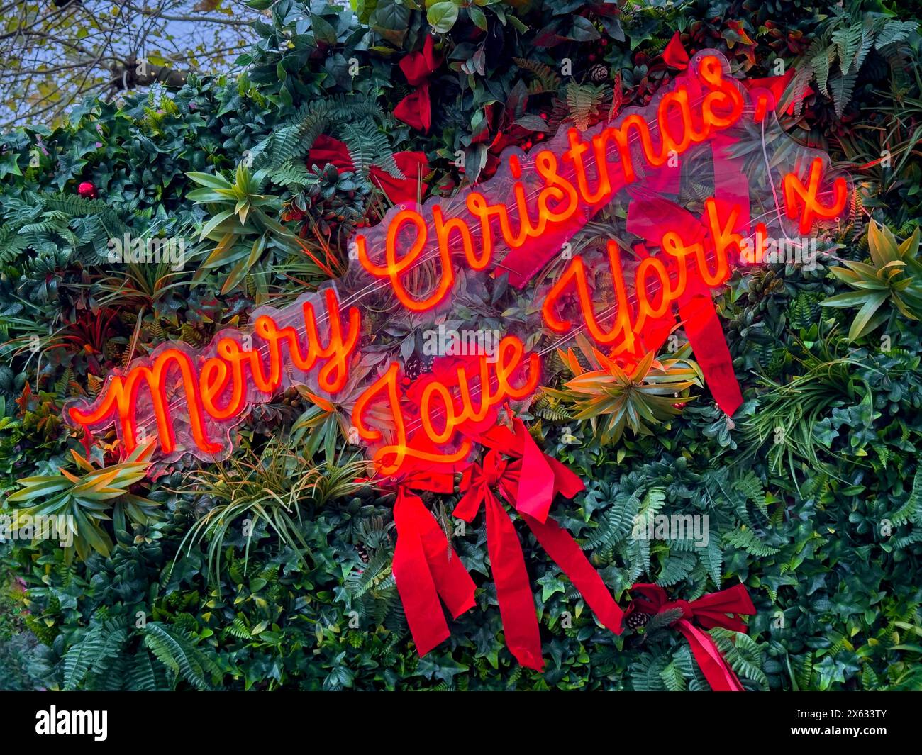 Merry Christmas Love York in roten Neonlichtern vor grünem Hintergrund. Stockfoto