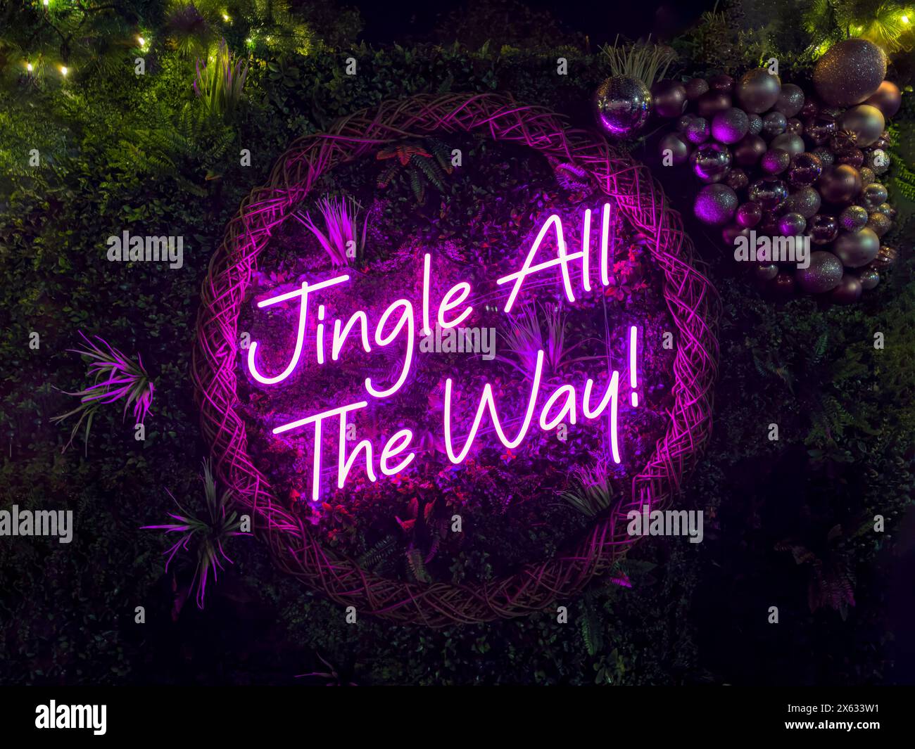 Der Satz „Jingle all the Way“ in violetten Neonlichtern vor grünem Hintergrund. Stockfoto