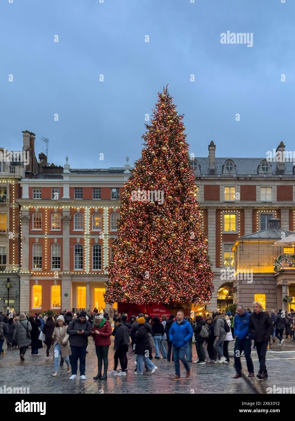 Weihnachtsbaum im Covent Garden, in der Abenddämmerung. London. Stockfoto