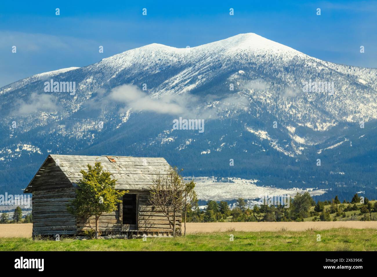 Alte Blockhütte unter dem Mount Glatdy in den Bergen in der Nähe von townsend, montana Stockfoto