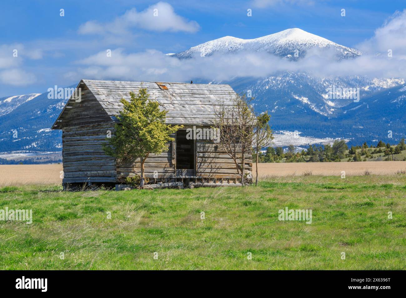 Alte Blockhütte unter dem Mount Glatdy in den Bergen in der Nähe von townsend, montana Stockfoto