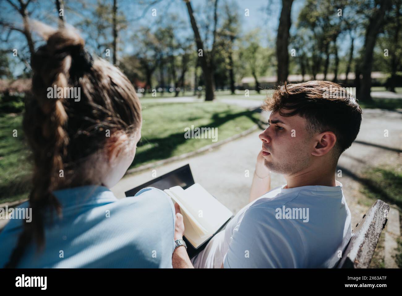 Junge Studenten studieren gemeinsam an einem sonnigen Tag im Park Stockfoto