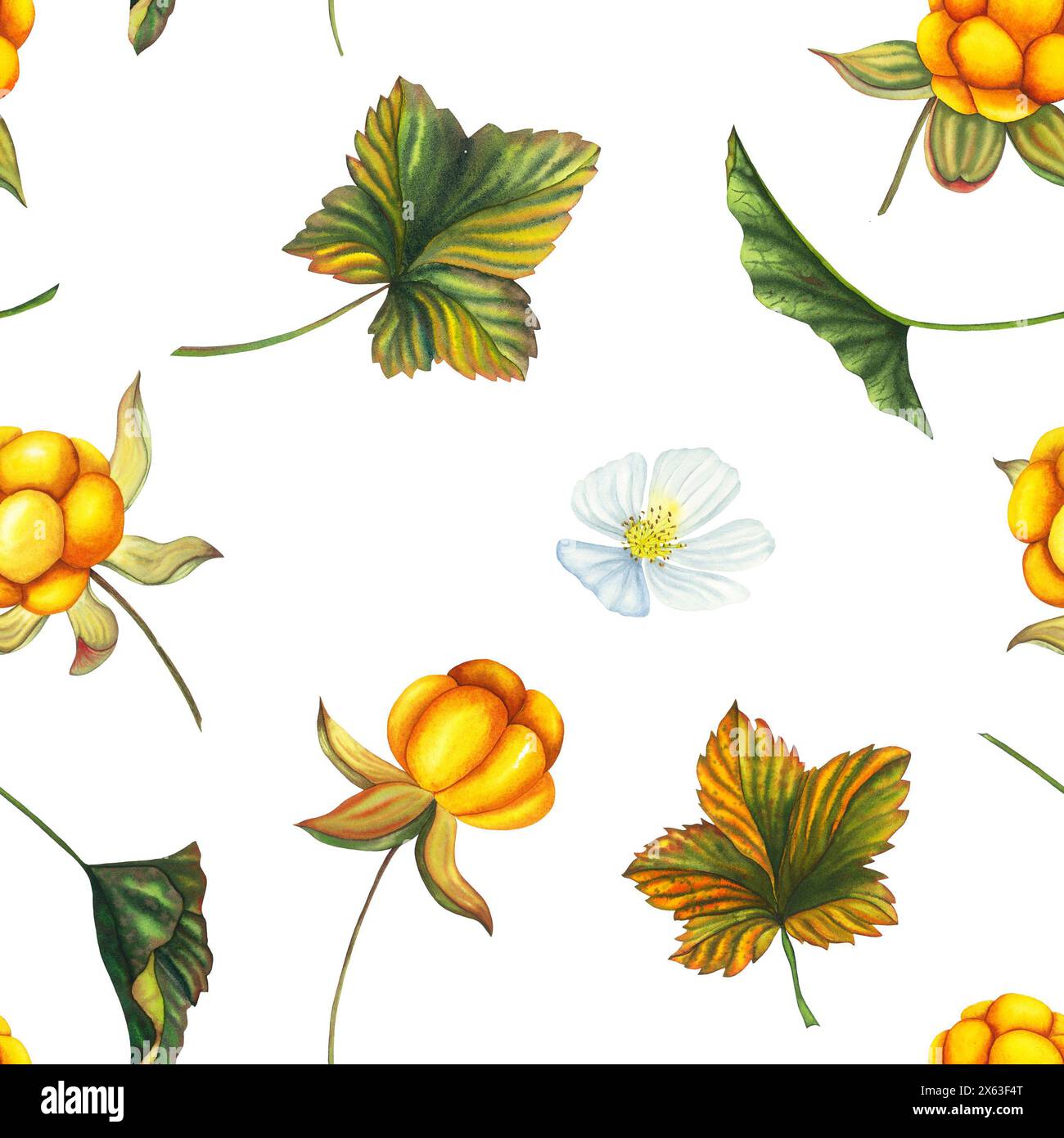 Nahtloses Aquarellmuster mit handgezeichneter Orangenbeere mit Beeren, Blättern, Blüte. Botanische Waldbeeren-Illustration auf weißem isoliertem bac Stockfoto