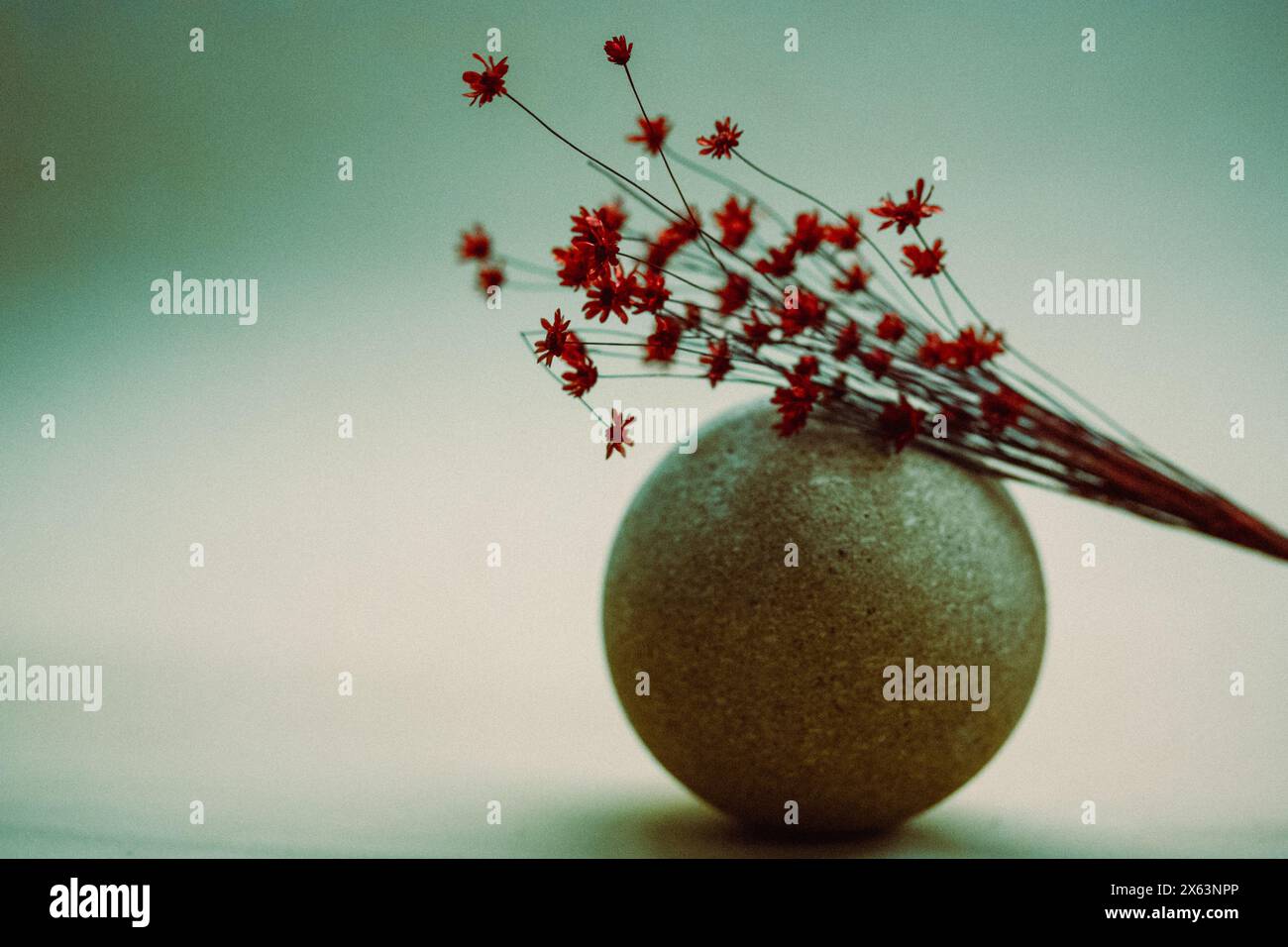 Stillleben mit einem Blumenstrauß aus roten getrockneten Wildblumen auf dekorativem Ballon auf hellblauem grünem Hintergrund. Blumenzusammensetzung. Ländliche Blumen. Kopierbereich Stockfoto