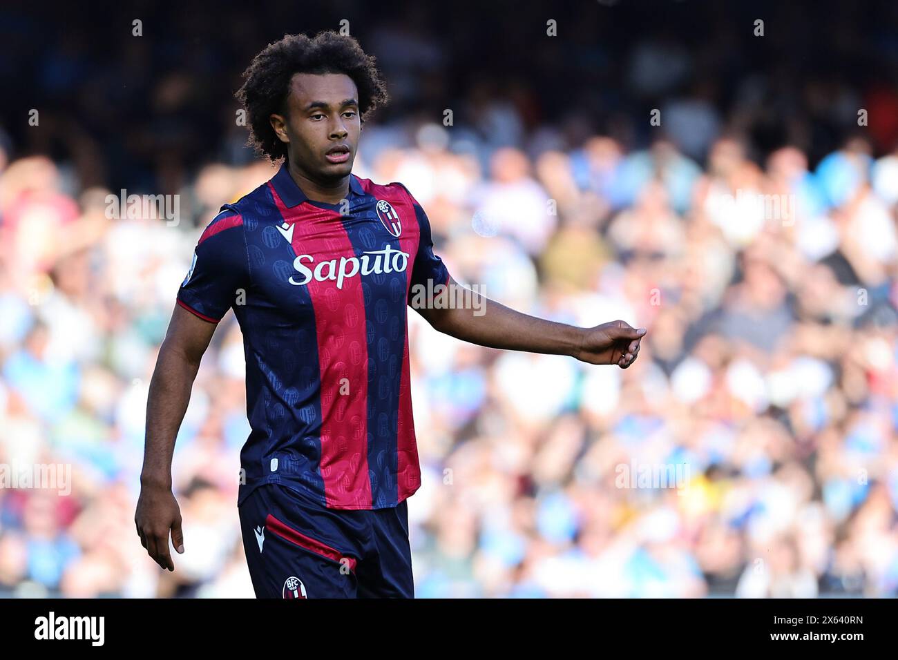 Joshua Zirkzee vom FC Bologna während des Fußballspiels der Serie A zwischen SSC Napoli und Bologna FC im Stadion Diego Armando Maradona in Neapel (Italien), 11. Mai 2024. Stockfoto