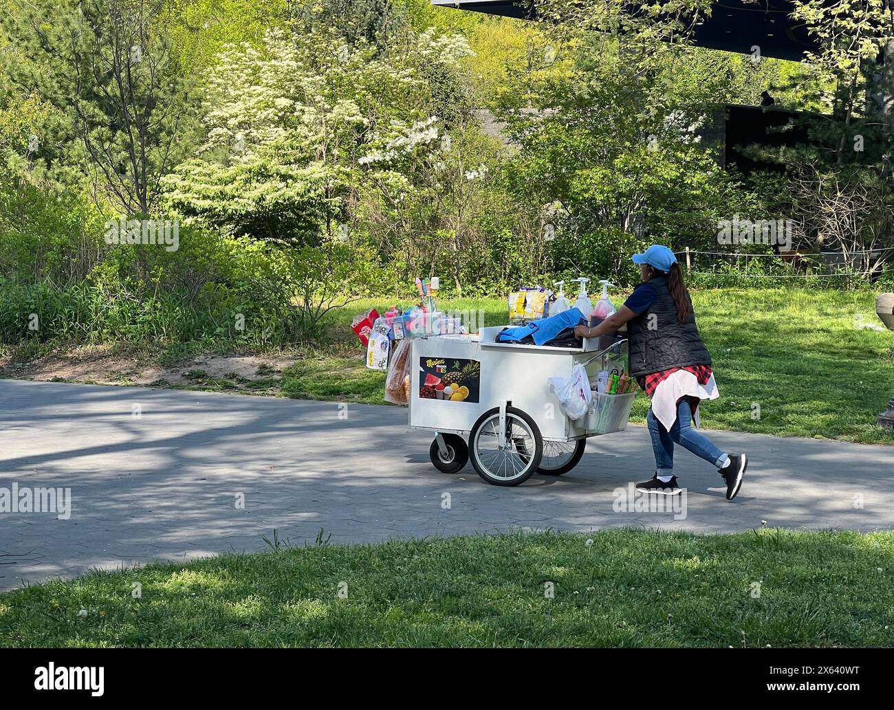 Der Eisverkäufer schiebt ihren Wagen auf einen Gehweg in Prospect Park, Brooklyn, New York. Stockfoto