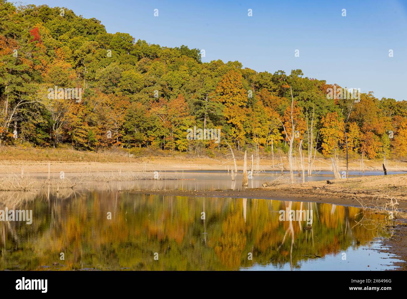 Sonniger Blick auf die wunderschöne Herbstfarbe des Hobbs State Park-Conservation Area in Arkansas Stockfoto