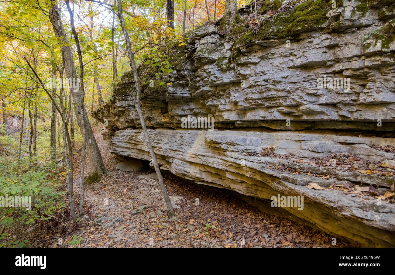 Sonniger Blick auf die wunderschöne Herbstfarbe des Hobbs State Park-Conservation Area in Arkansas Stockfoto