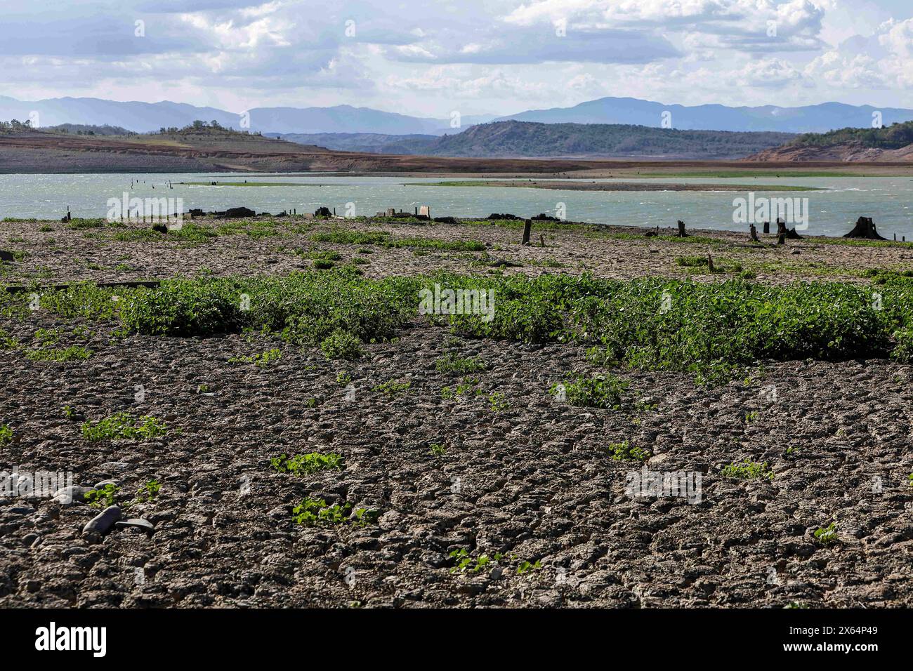 12. Mai 2024, Pantabangan, Pantabangan, Philippinen: Ein trockenes Land in der Nähe der Überreste der alten versunkenen Stadt Pantabangan, die infolge einer schweren Dürre aufgrund der steigenden Temperaturen auf den Philippinen an einem Stausee wieder aufgetaucht sind. Das sechste Wiederauftauchen dieser 300 Jahre alten Siedlung, die eine Kirche und mehrere Grabsteine umfasst, hat Touristen zu Besuch gezogen, nachdem der Wasserstand am Damm durch extreme Hitze abgenommen hat. verschärft durch die El-NiÃ±-o-Klimamuster, die zu einer Zunahme des Wetters in Asien und Südostasien beitragen. (Bild: © Daniel Ceng Sho Stockfoto