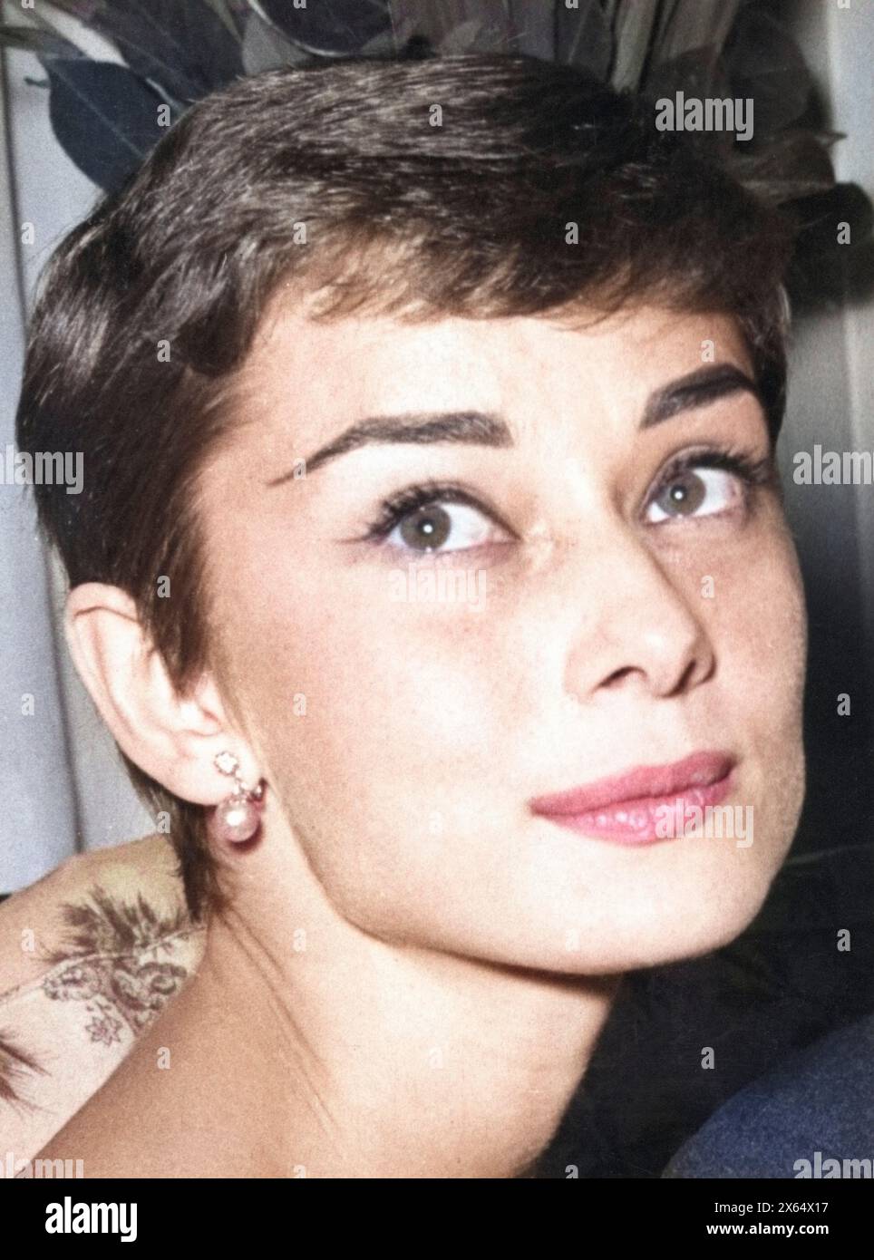 Hepburn, Audrey, 4.5.1929 - 20.1,1993, britische Schauspielerin, Porträt, 30.9,1954, ADDITIONAL-RIGHTS-CLEARANCE-INFO-NOT-AVAILABLE Stockfoto