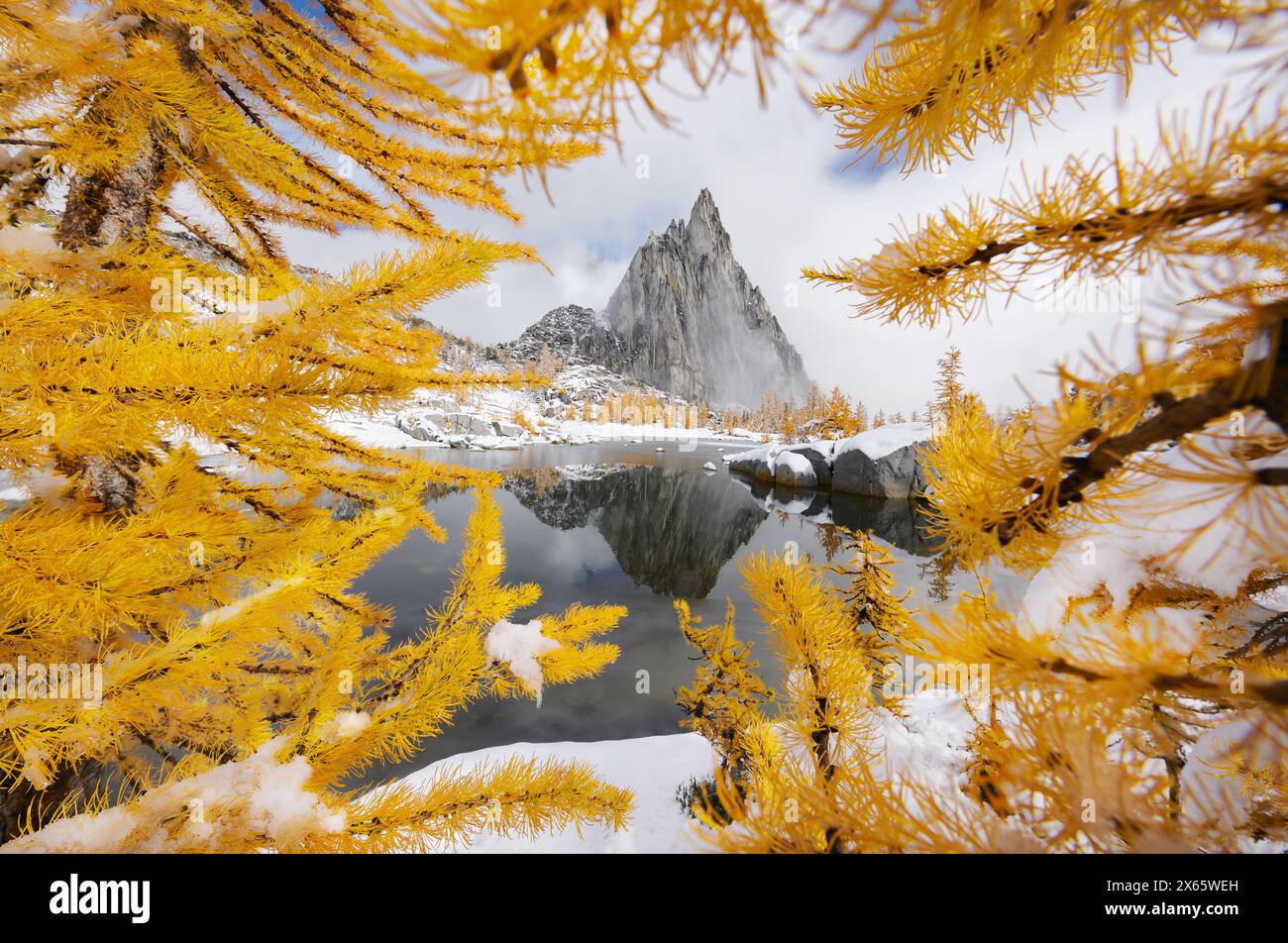 Der zerklüftete Turm des Prusik Peak und die gelben Lärchen des Herbstes Ref Stockfoto
