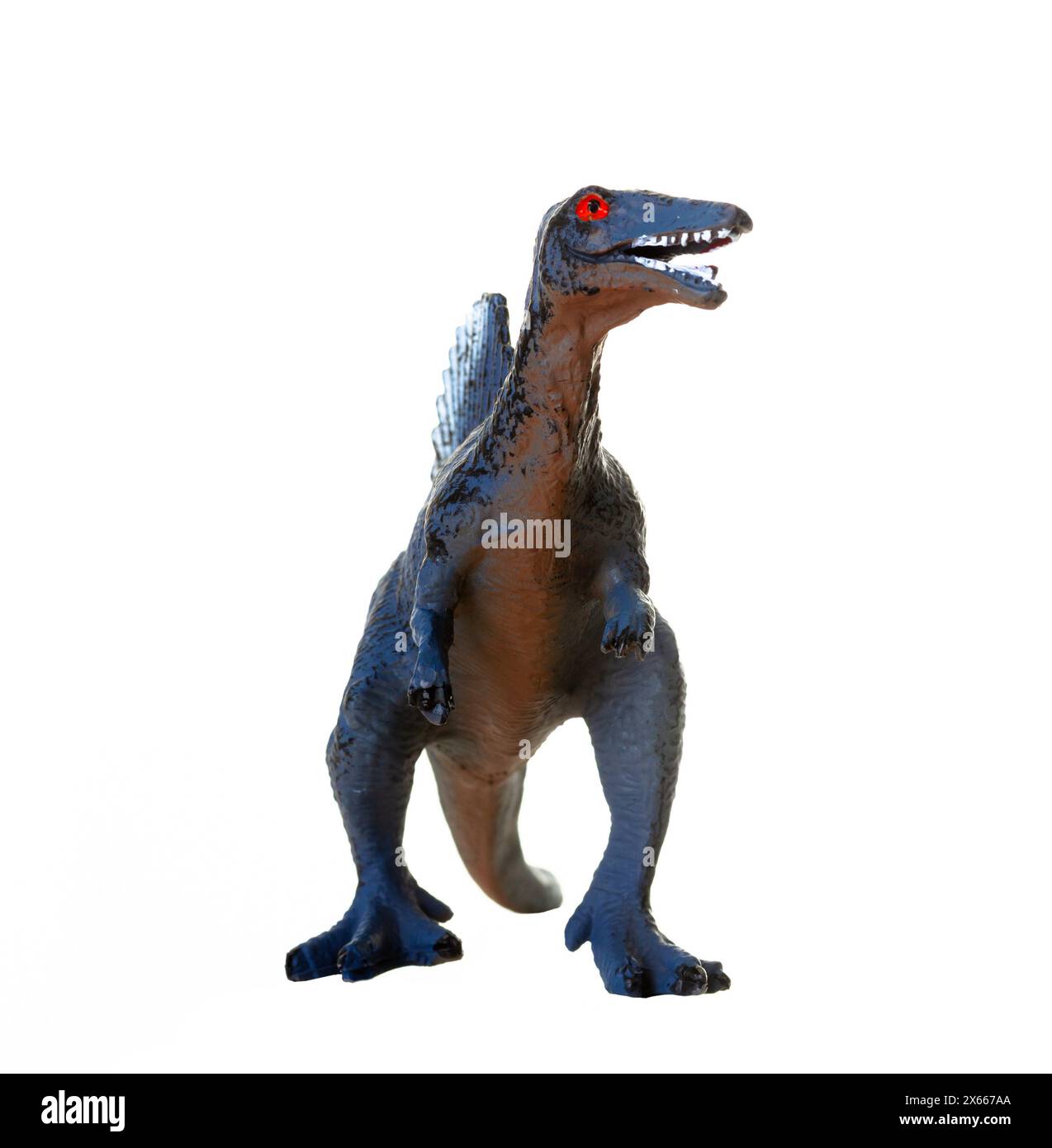 Detailgetreues Spielzeugmodell eines blauen Spinosaurus-Dinosauriers vor weißem Hintergrund Stockfoto