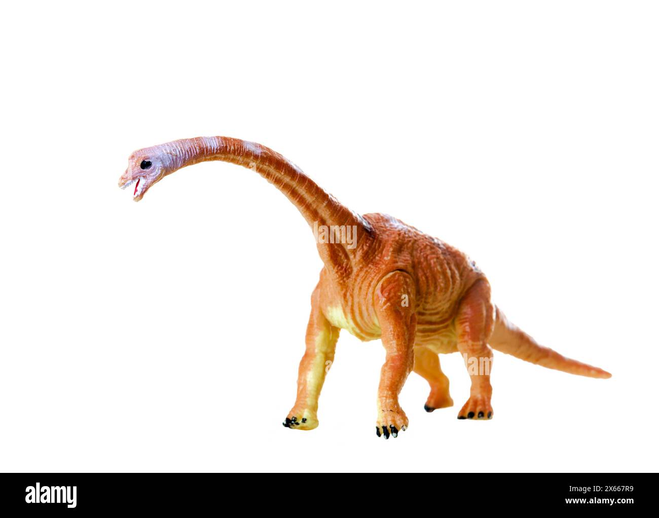 Realistische Mamenchisaurus Dinosaurier Modell Spielzeug Replik für pädagogische Zwecke, Sammlerstück Kunststoff Dino Figur mit langem Hals. Selektiver Fokus auf den Kopf. Stockfoto