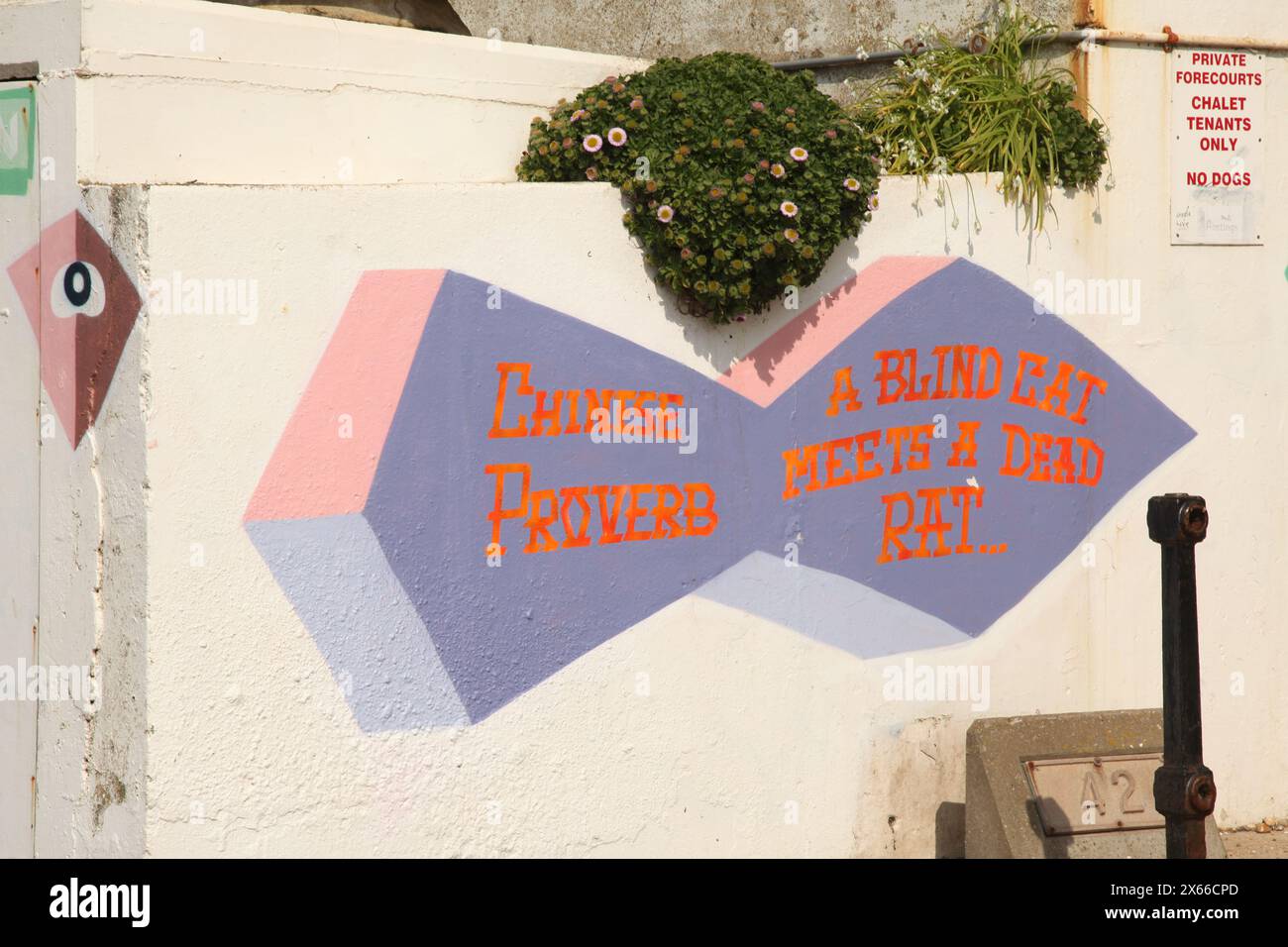 Graffiti, chinesisches Sprichwort, "Eine blinde Katze trifft eine tote Ratte", gemalt an einer Wand in St. Leonard on Sea, East Sussex, England, Großbritannien, 2024. tagsüber Stockfoto