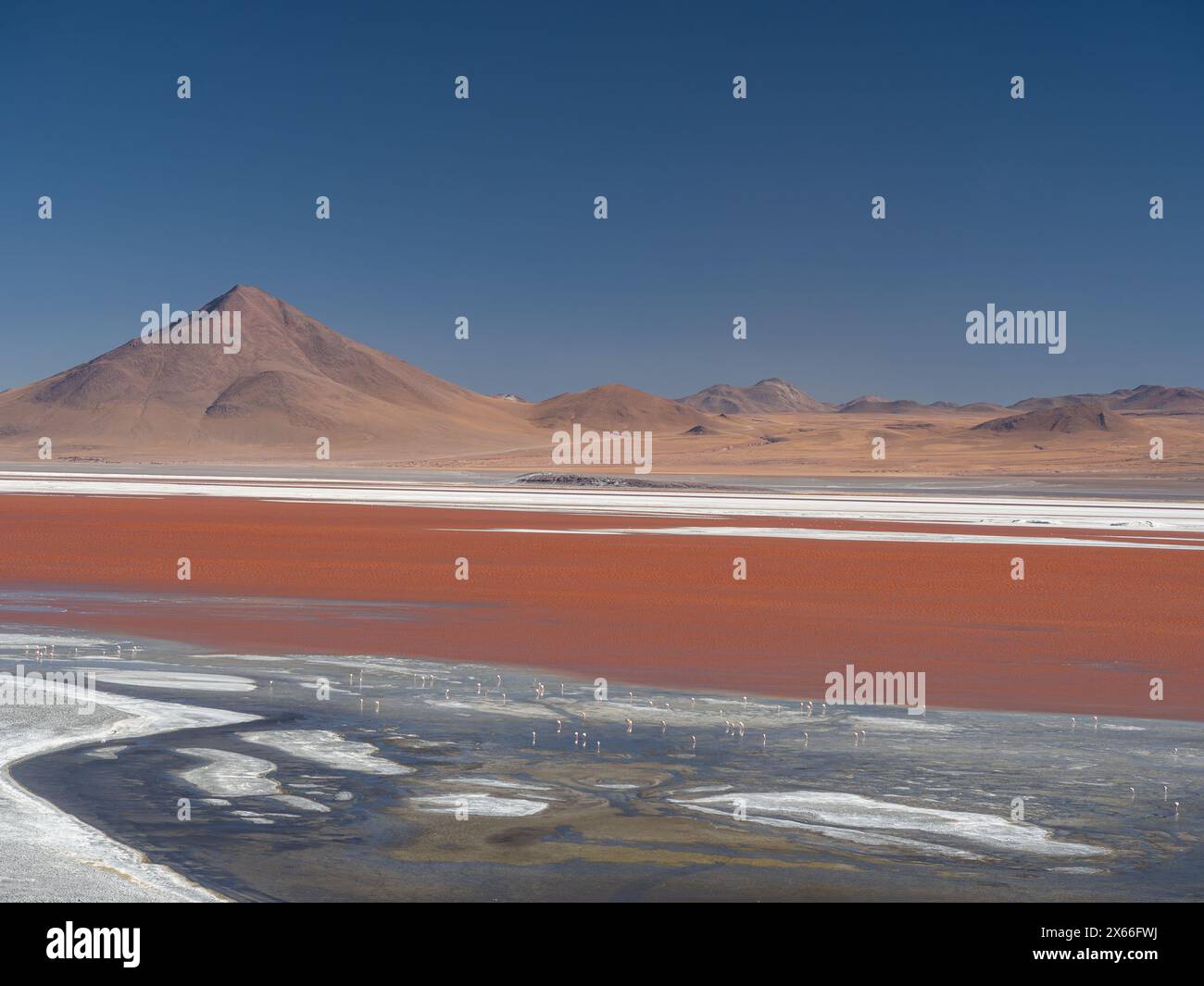 Rote und salzige Laguna Colorada im Eduardo Avaroa Anden Fauna National Reserve, Anden Berge, bolivianische Hochländer, Südamerika. Stockfoto