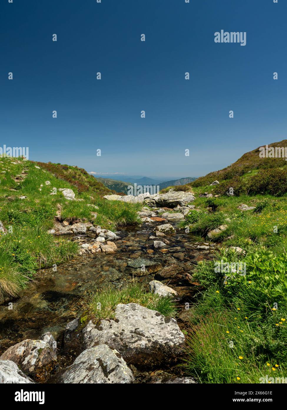 Ein Wasserstrom fließt durch ein felsiges Gebiet mit Gras und Blumen. Das Wasser ist klar und das Gras ist üppig und grün. Stockfoto