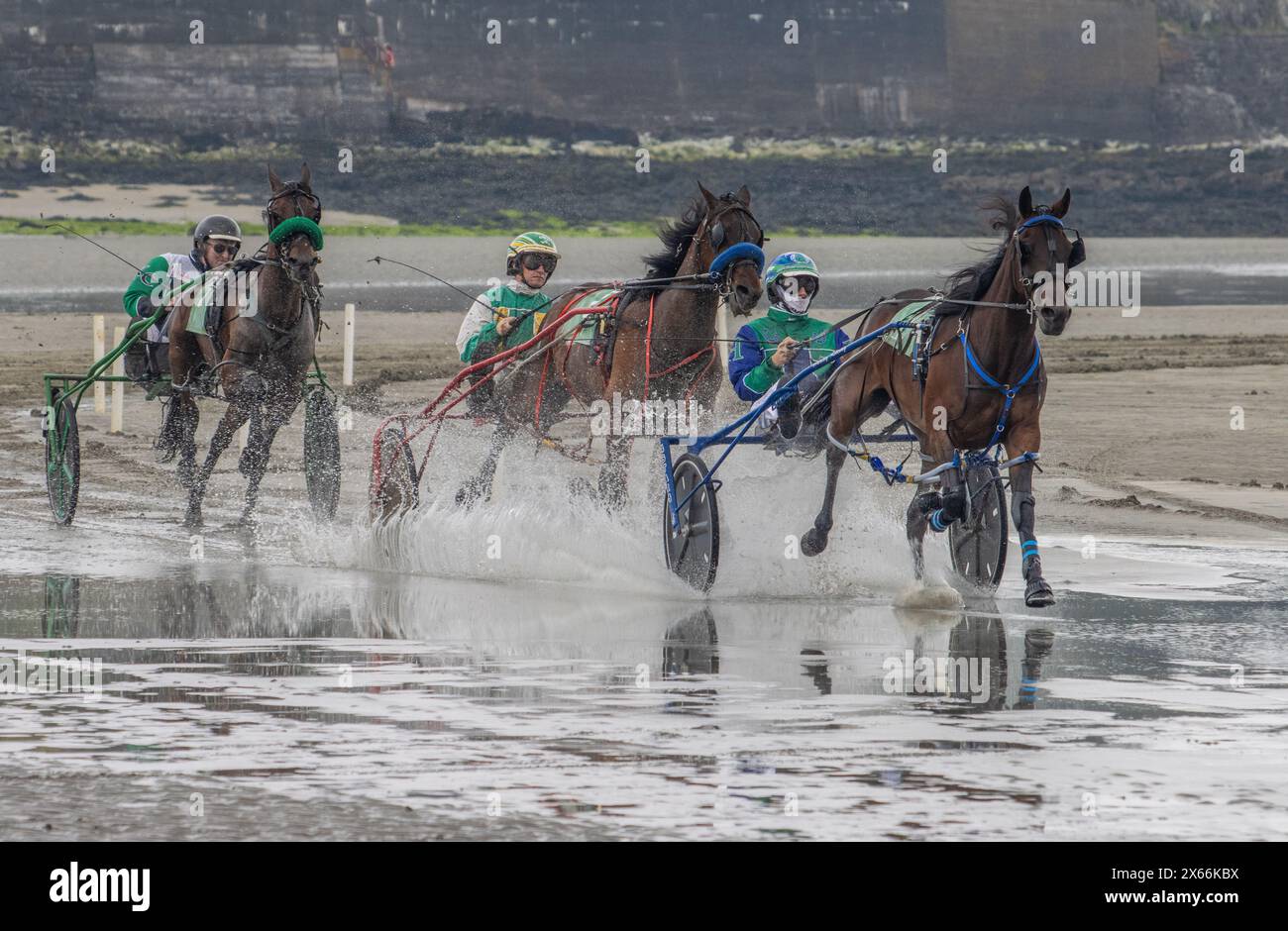 Harness-Rennen am Strand in Harbour View, Kilbrittain, West Cork, Mai 2024 Stockfoto