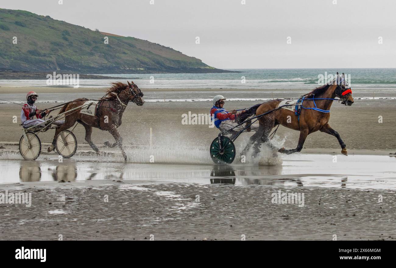 Harness-Rennen am Strand in Harbour View, Kilbrittain, West Cork, Mai 2024 Stockfoto
