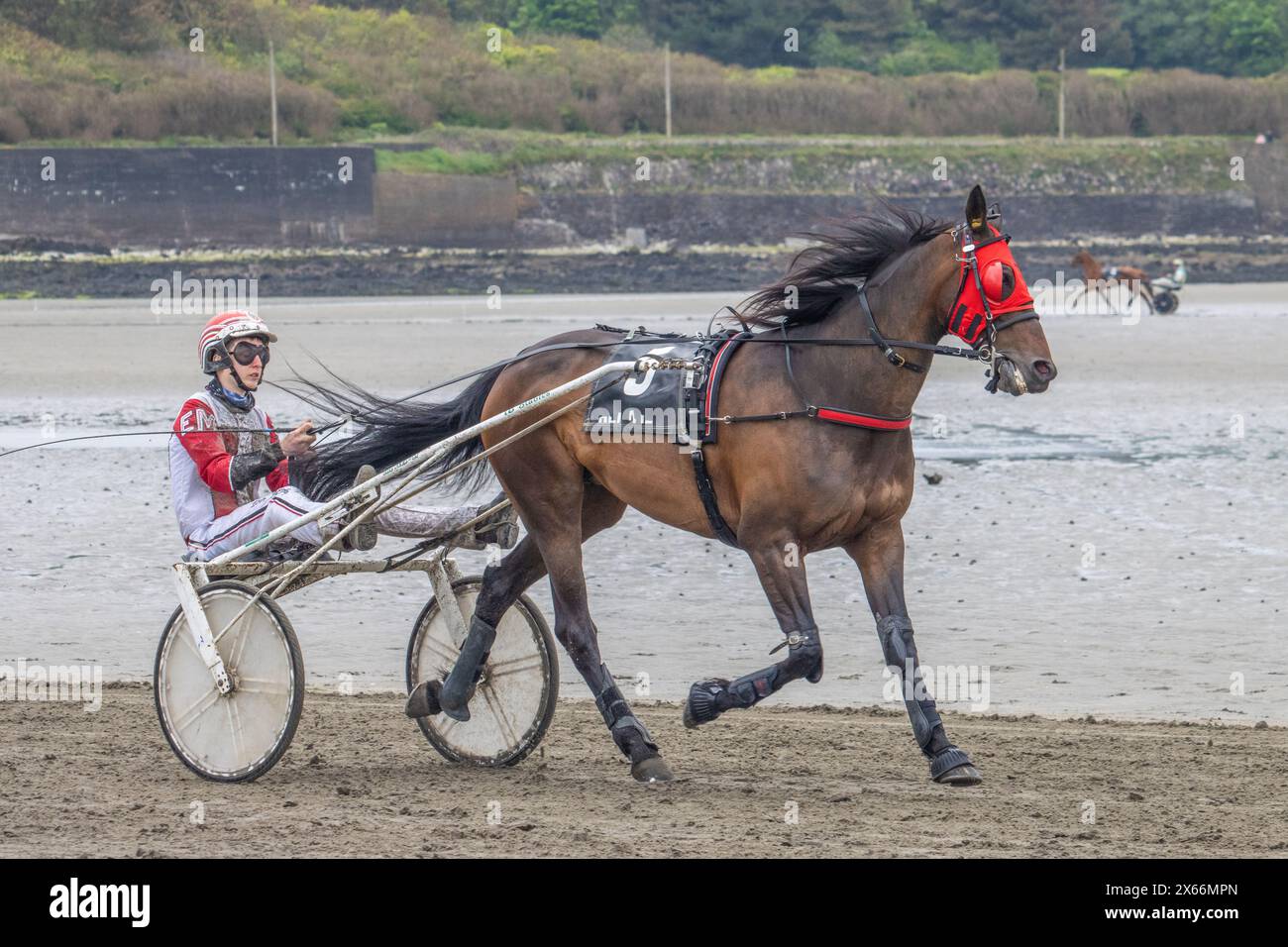 Harness-Rennen am Strand in Harbour View, Kilbrittain, West Cork, Mai 2024 Stockfoto