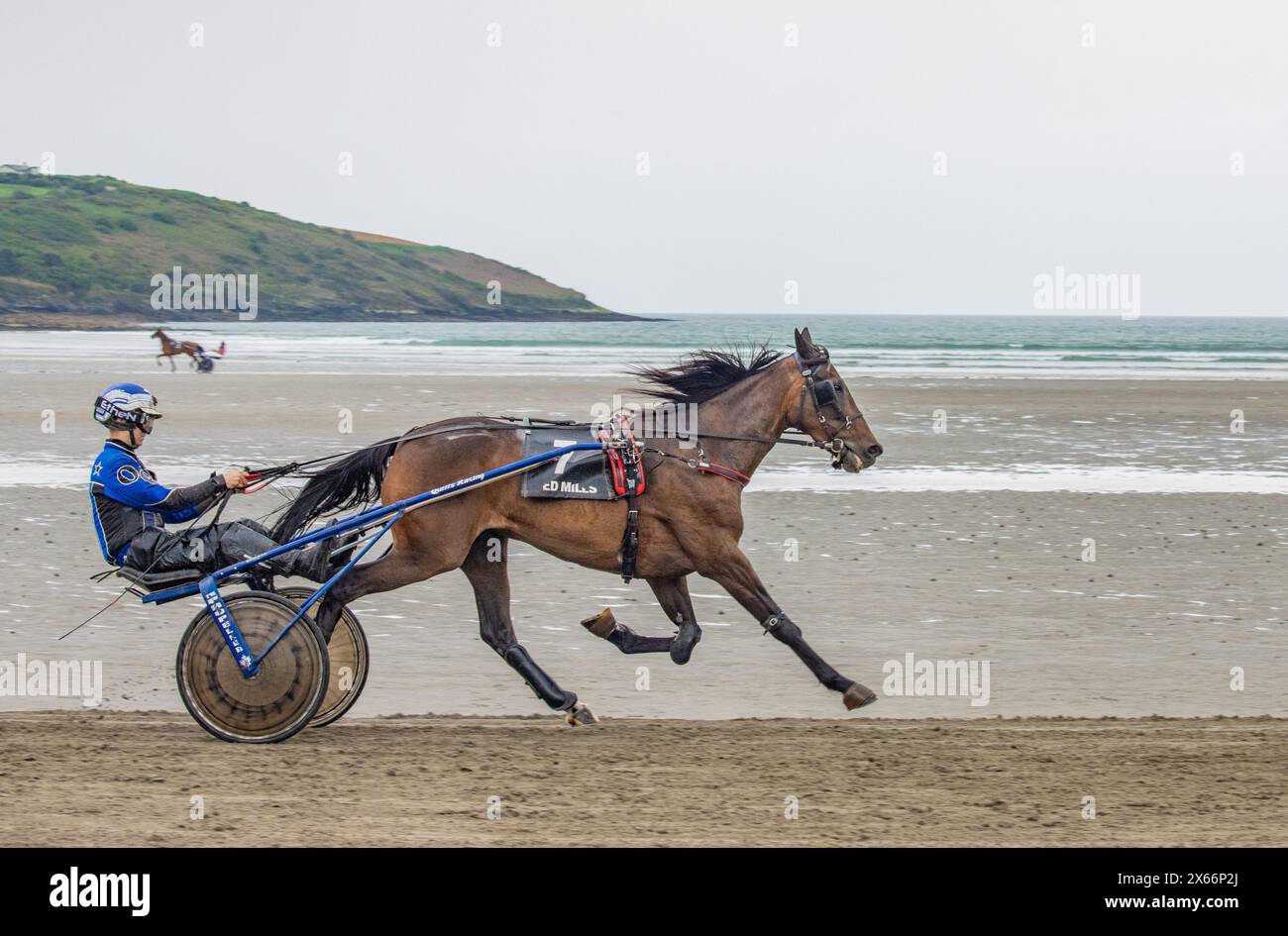 Harness-Rennen am Strand in Harbour View, Kilbrittain, West Cork, Mai 2024 Stockfoto
