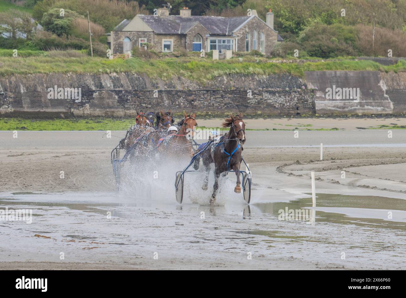 Harness-Rennen am Strand in Harbour View, Kilbrittain, West Cork, Mai 2024 Stockfoto