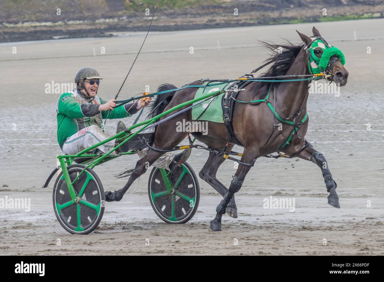 Harness-Rennen am Strand in Harbour View, Kilbrittain, West Cork, Mai 2024 Stockfoto