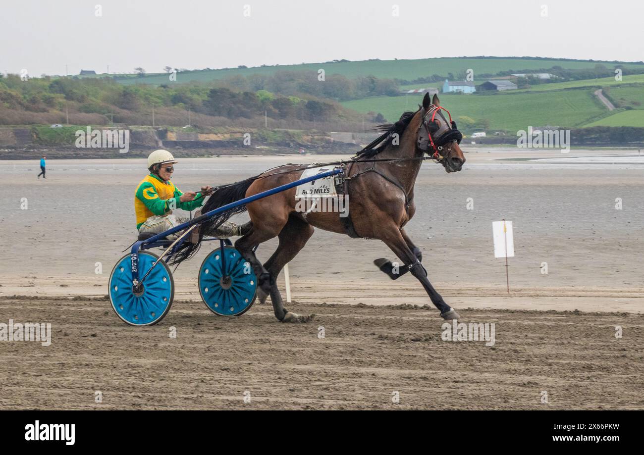 Harness-Rennen am Strand in Harbour View, Kilbrittain, West Cork, Mai 2024 Stockfoto