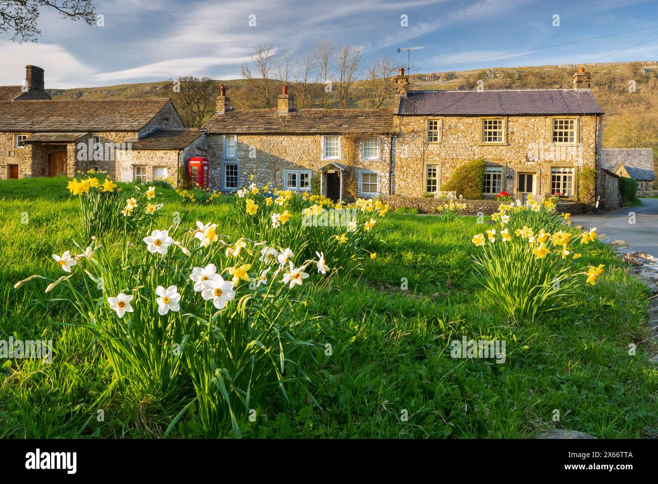 Narzissen blühen auf Arncliffe Village Green in Littondale, den Yorkshire Dales, Großbritannien Stockfoto