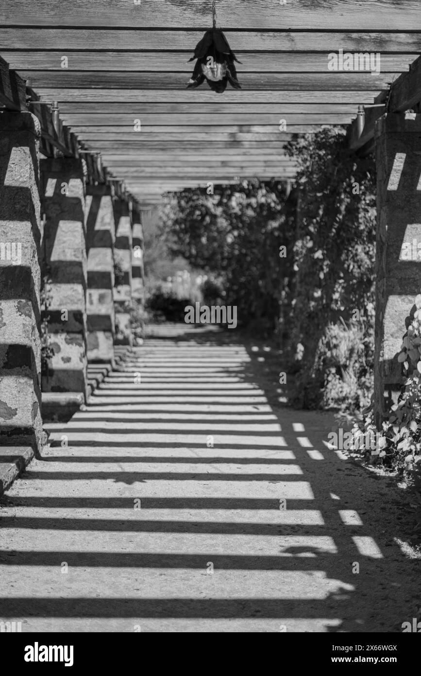 Gartenweg unter Pergola Stockfoto