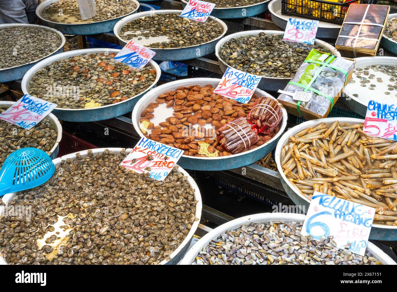 Verschiedene Arten von Zweiventilen zum Verkauf auf einem Markt in Neapel, Italien Stockfoto