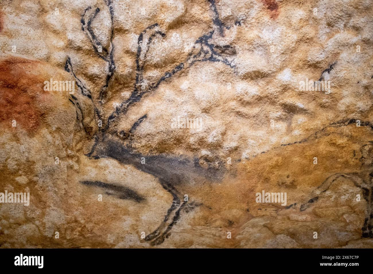 Besichtigungstour durch Lascaux IV, die letzte vollständige Nachbildung der Lascaux-Höhle, eine geschmückte Höhle aus der oberpaläolithischen Zeit, das Symbol der Prähis Stockfoto