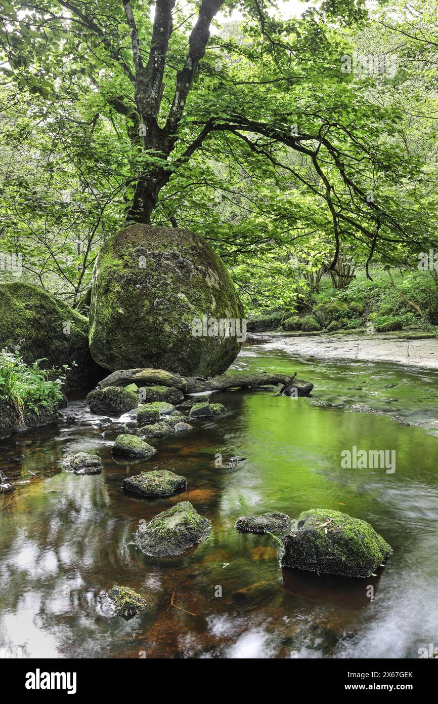 Der Deepdale Great Stone, ein unberechenbarer Felsbrocken aus rosa Shap-Granit, der während der letzten Eiszeit durch Gletscher hinterlassen wurde, Deepdale, Teesdale, County Durham, U Stockfoto