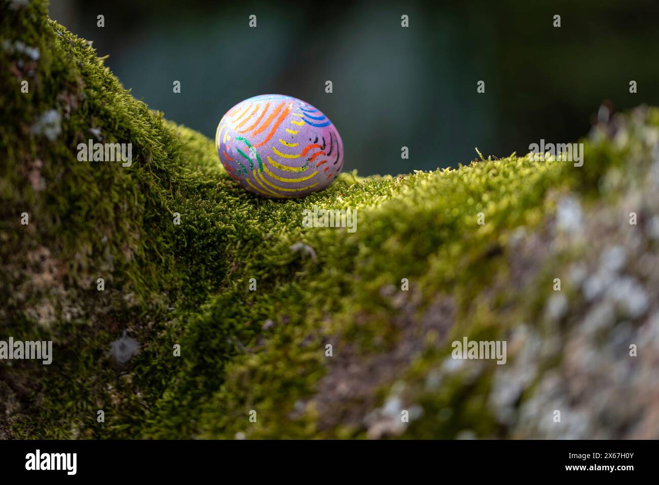 Gemaltes Osterei auf Moos, Deutschland Stockfoto