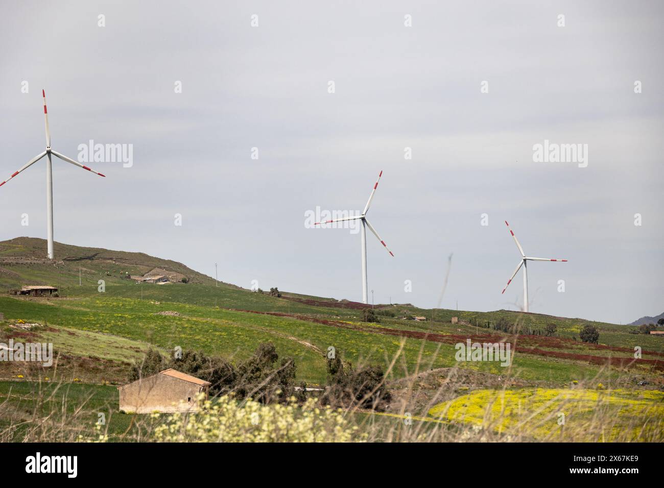 Windturbinen in der Silizianischen Landschaft, April 2024 Stockfoto