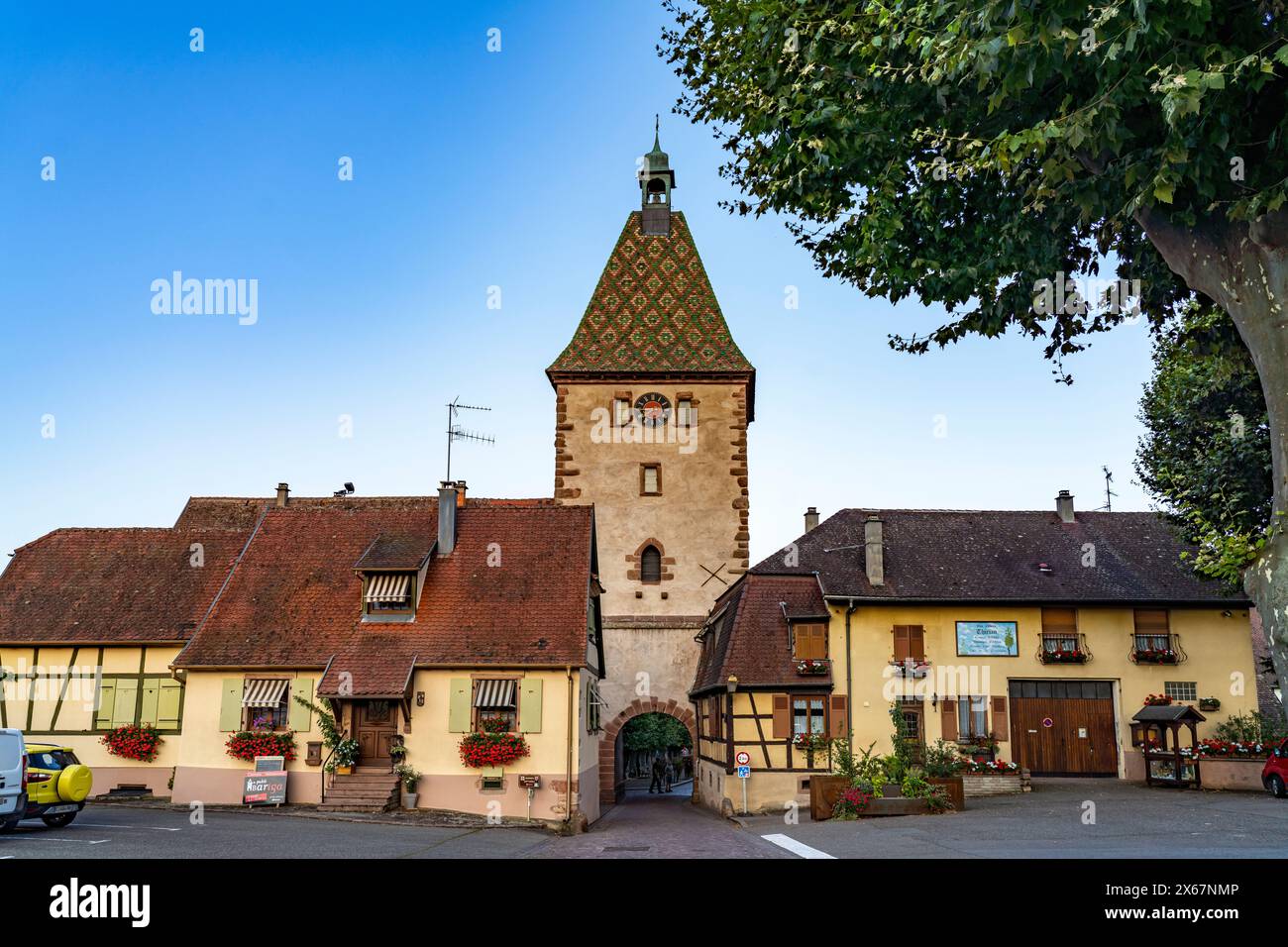 Stadttor Obertor in Bergheim, Elsass, Frankreich Stockfoto