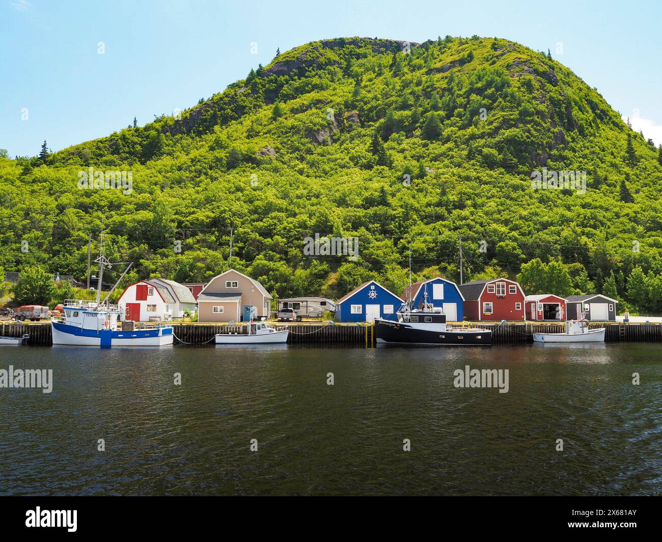 Atlantik, Kanada, Fischerboote vor Anker, grüne Bäume, Land und Meer, Maddox Cove, Neufundland, Nordamerika, Petty Harbour, hübsch wie ein Bild, Sonnenschein, Wasserfahrzeuge Stockfoto