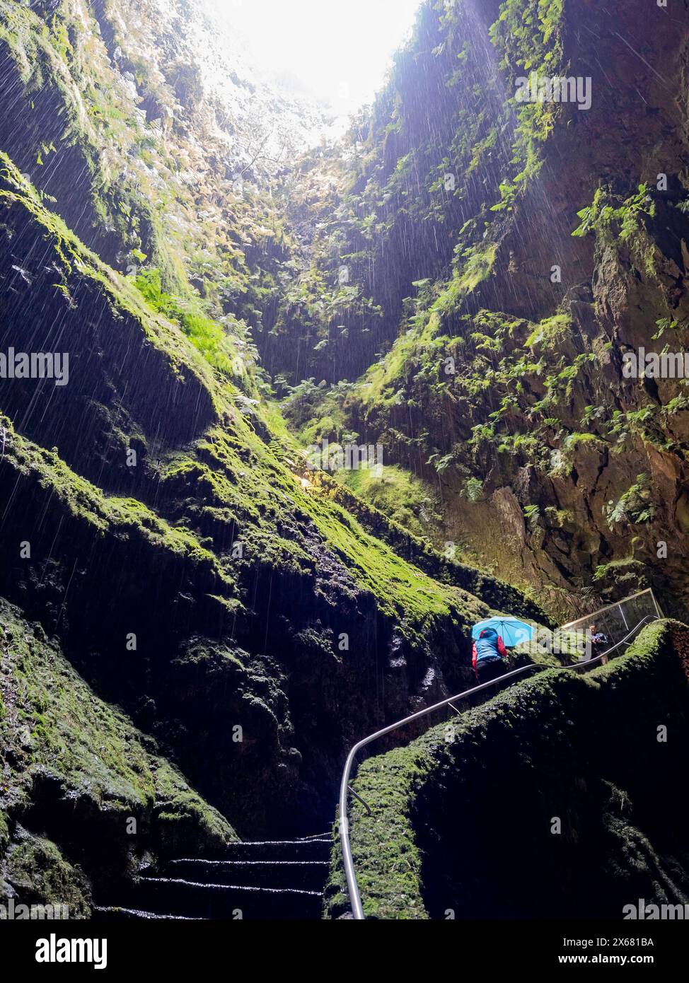 Algar do Carvao (Höhle der Kohle) ist eine antike Lavaröhre oder vulkanisches Loch, Azoren, Furnas do Enxofre, Geologie, naturnahe, Portugal, Terceira, Vulkanpfad, Vulkan-Naturpark Stockfoto