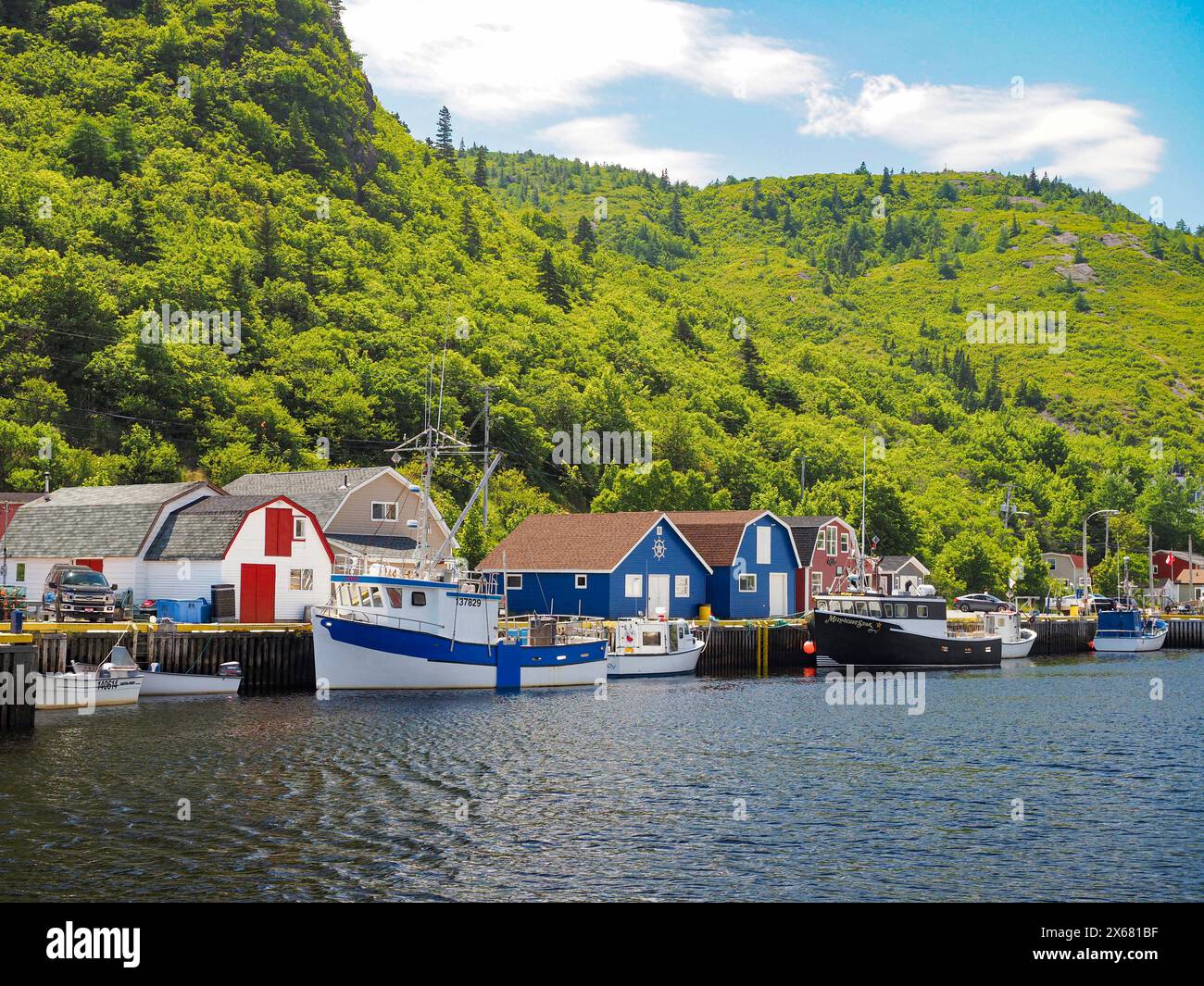 Atlantik, Kanada, Fischerboote vor Anker, grüne Bäume, Land und Meer, Maddox Cove, Neufundland, Nordamerika, Petty Harbour, Sonnenschein, Wasserfahrzeuge Stockfoto