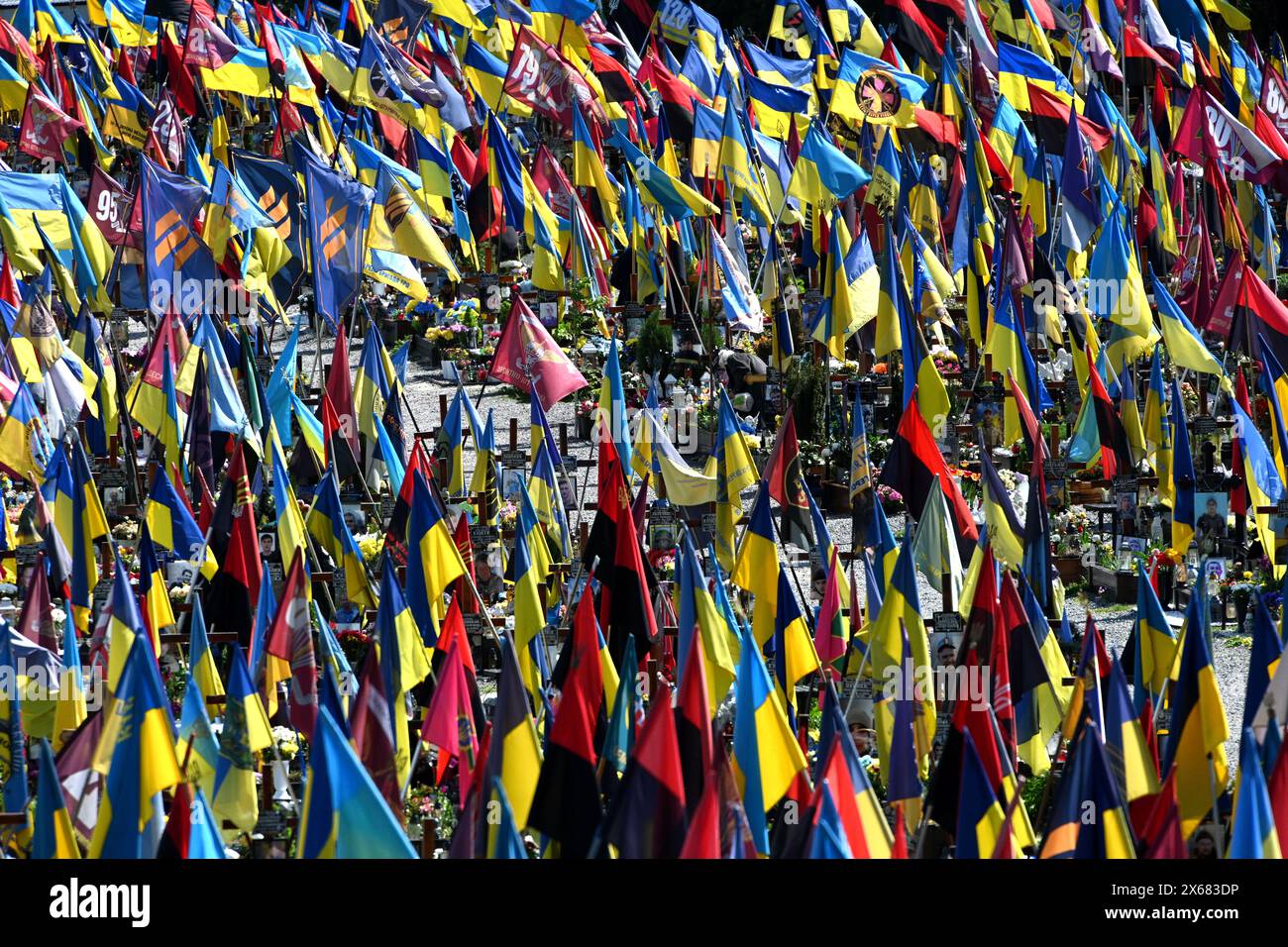 Lwiw, Ukraine - 27. April 2024: Lytschakiw Militärfriedhof von ukrainischen Soldaten, die während des Kampfes mit russischen Truppen getötet wurden. Stockfoto