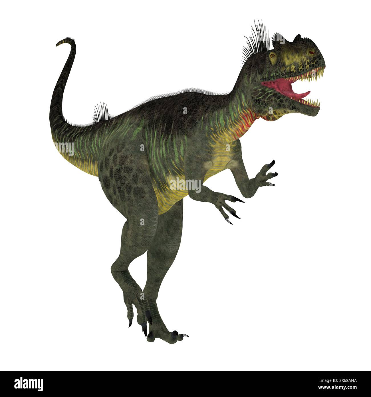 Megalosaurus war ein großer fleischfressender theropoder Dinosaurier, der in der Europäischen Jurassic Zeitraum gelebt. Stockfoto