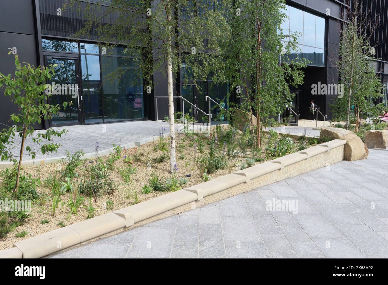 Pounds Park Sheffield Stadtzentrum England Großbritannien, Innenstadtgrün öffentlicher Garten Pflanzen städtische Umwelt Nachhaltigkeit Biodiversität Stockfoto