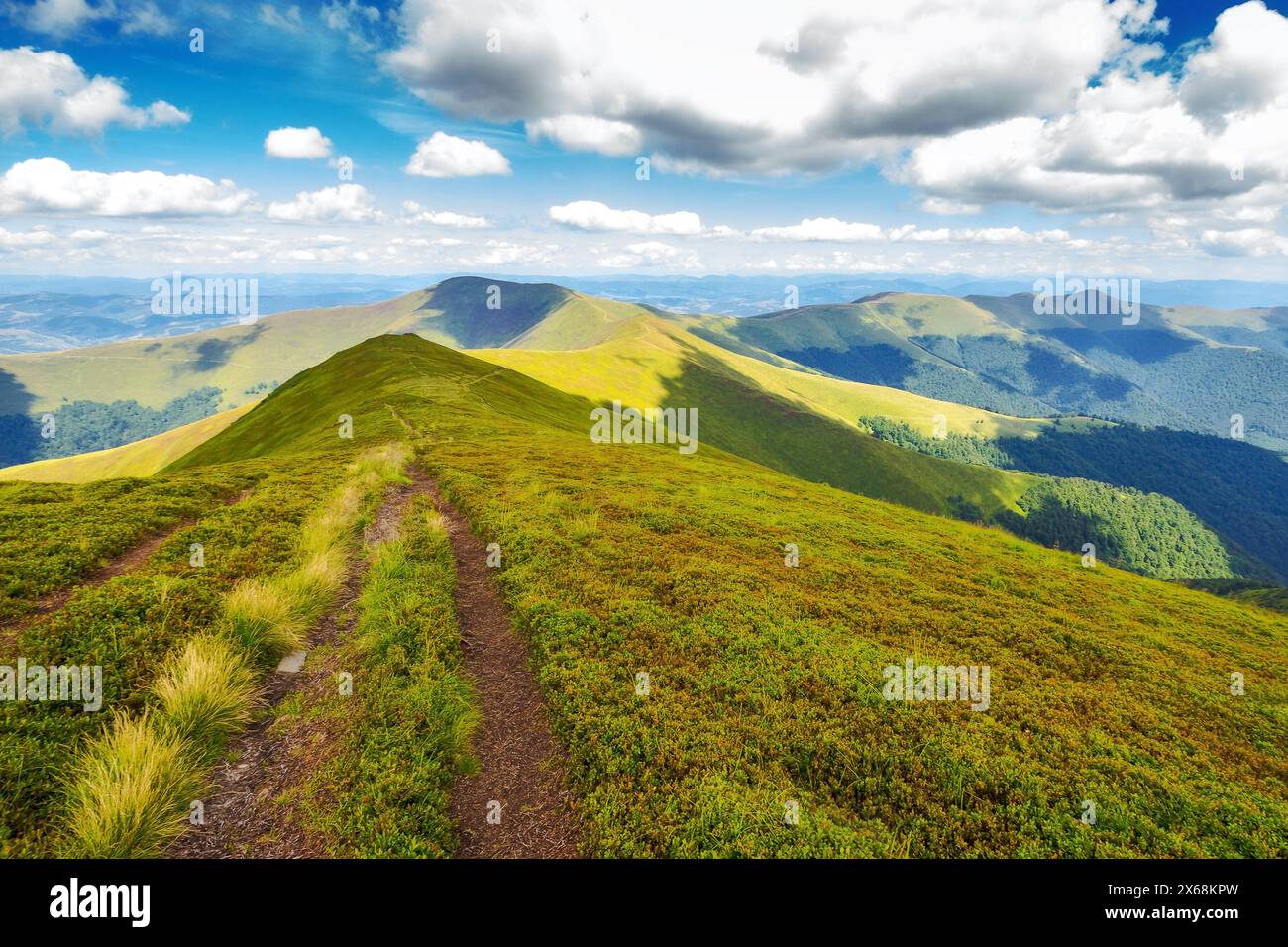Wanderweg durch den Borzhava-Rücken der ukrainischen karpaten im Sommer. Grasbewachsene Hänge und Hänge im schimmernden Licht. Beliebtes Reiseziel Stockfoto